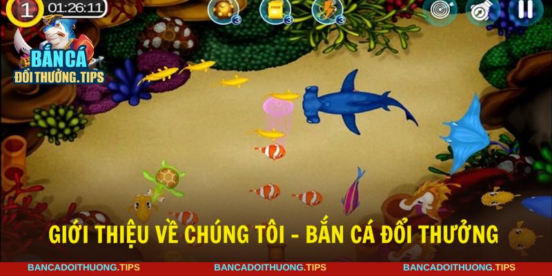 Giới thiệu về chúng tôi bắn cá đổi thưởng đến người mới