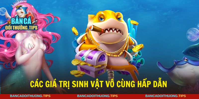 Khám phá sinh vật giá trị đa dạng của Jackpot fishing