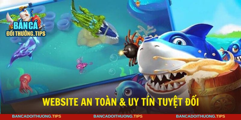 Nền tảng chúng tôi khẳng định mức độ đáng tin cậy tuyệt đối